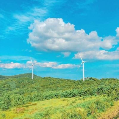 青丘白凤九手游下载
